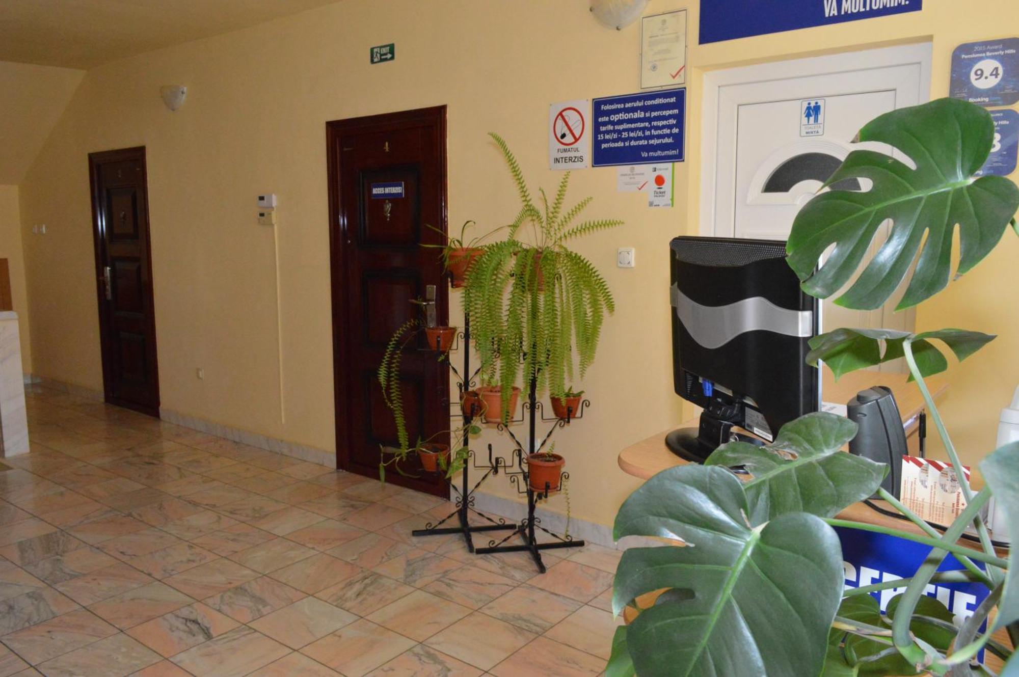 Pensiunea Beverly Hills Băile Felix Buitenkant foto